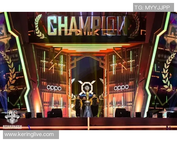 和平精英盛典揭幕EDG耐力之谜探索电竞团队的极限挑战与荣耀之路